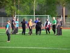 Sääskipolska4 2014.JPG