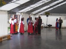 Sääskipolska3 2014.JPG