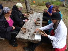 Sääskipolska6 2014.JPG