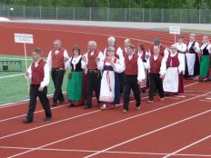 Sääskipolska13 2014.JPG