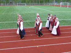 Sääskipolska14 2014.JPG