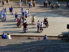 Metron melkutus 1.JPG