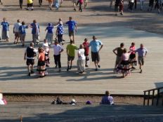 Metron melkutus 3.JPG