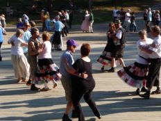 Metron melkutus 4.JPG